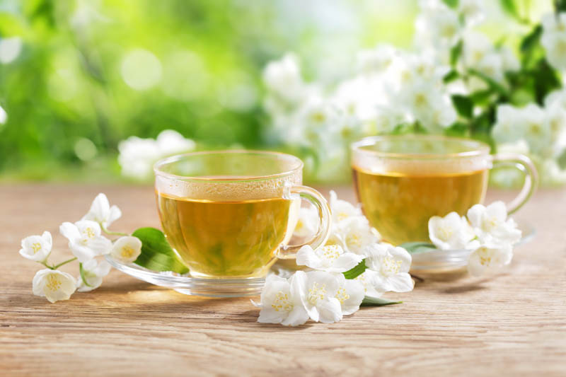 Lemon Balm, Lemon Balm Tea, Melissa officinalis