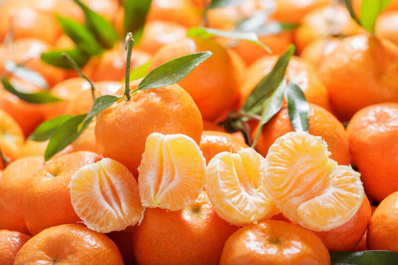 Mandarin, Mandarin Orange, Citrus Fruit, Clementine, Tangerine, Citrus reticulata