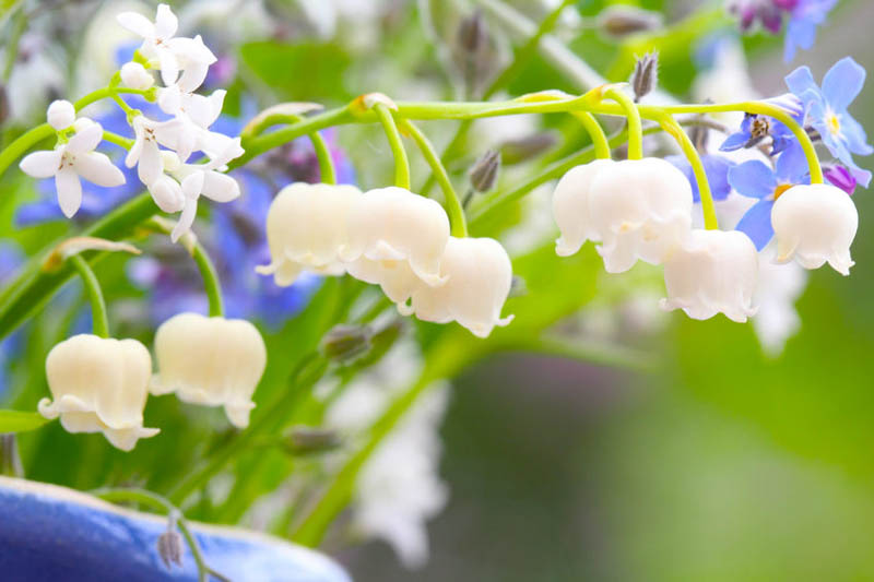 Omma oldida jinsiy aloqada bolgan etuk ayollar