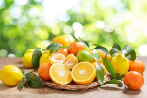 ORANGES CITRUS X SINENSIS HEALTH BENEFITS USES GROWING TIPS visual data 3