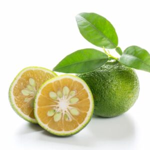 Sudachi, Citrus, Citrus Freet, Citrus sudachi, Japanese Citrus