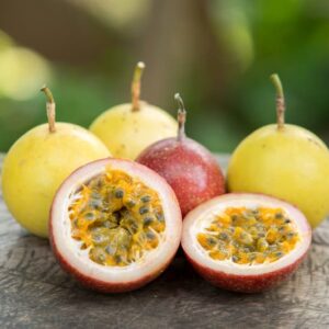 Passion Fruit, Passionfruit, Passion Flower, Passionflower, Purple Passion Fruit, Passiflora edulis