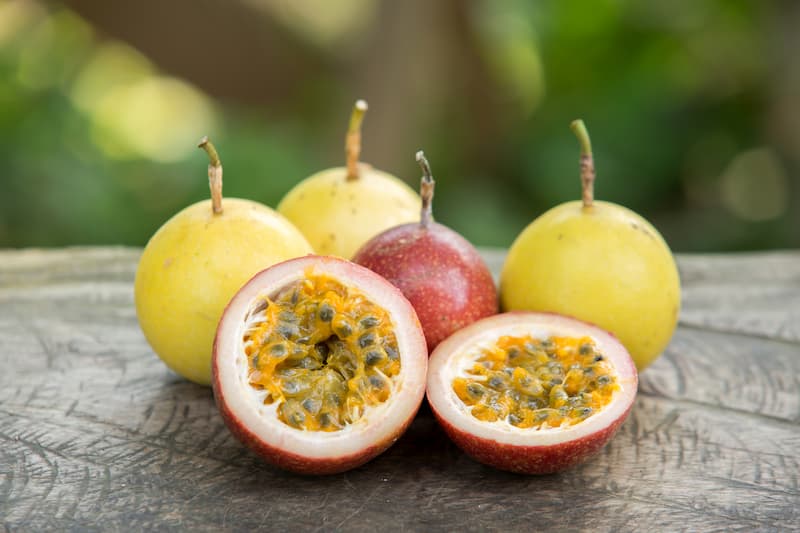 Passion Fruit, Passionfruit, Passion Flower, Passionflower, Purple Passion Fruit, Passiflora edulis