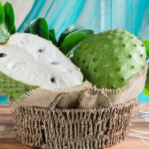 Soursop, Graviola, Guanábana, Guyabano, Prickly custard apple, Brazilian pawpaw, Annona muricata