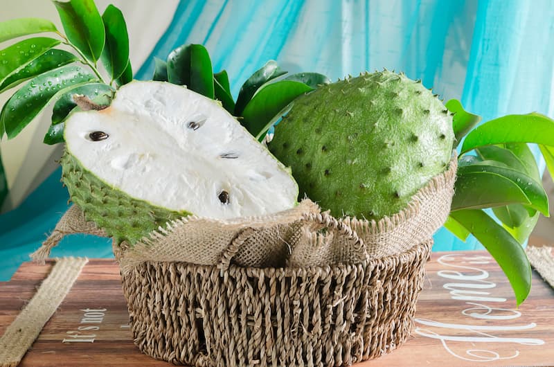 Soursop, Graviola, Guanábana, Guyabano, Prickly custard apple, Brazilian pawpaw, Annona muricata