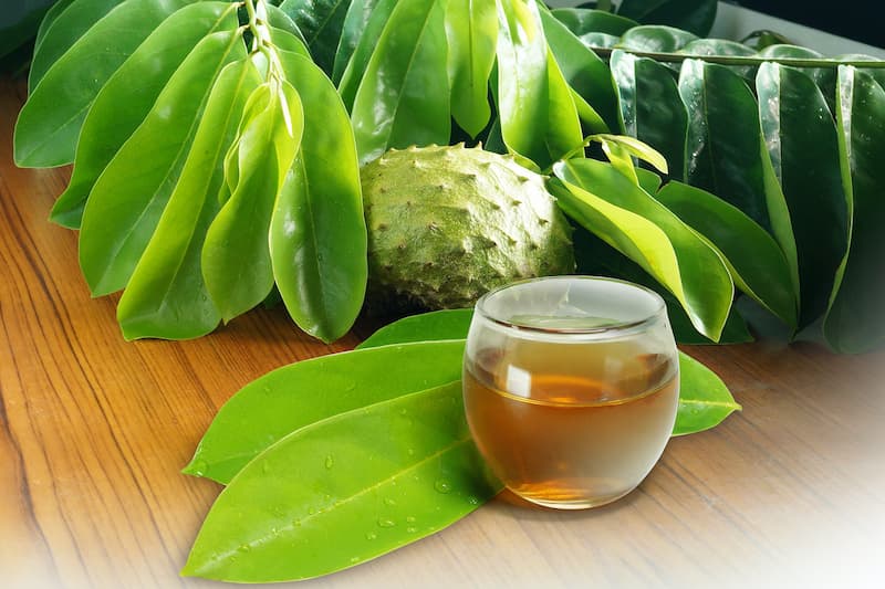 Soursop, Graviola, Guanábana, Guyabano, Prickly custard apple, Brazilian pawpaw
