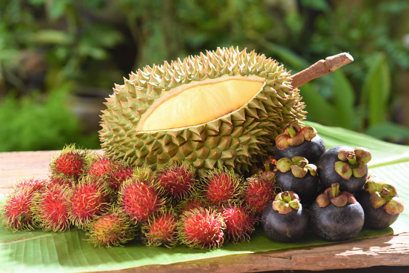 Rambutan, Ramboetan, Rambotan, Ramboutan, Ngo, Chôm chôm, Shao tzu, Mamón chino, Hairy lychee, Nephelium lappaceum