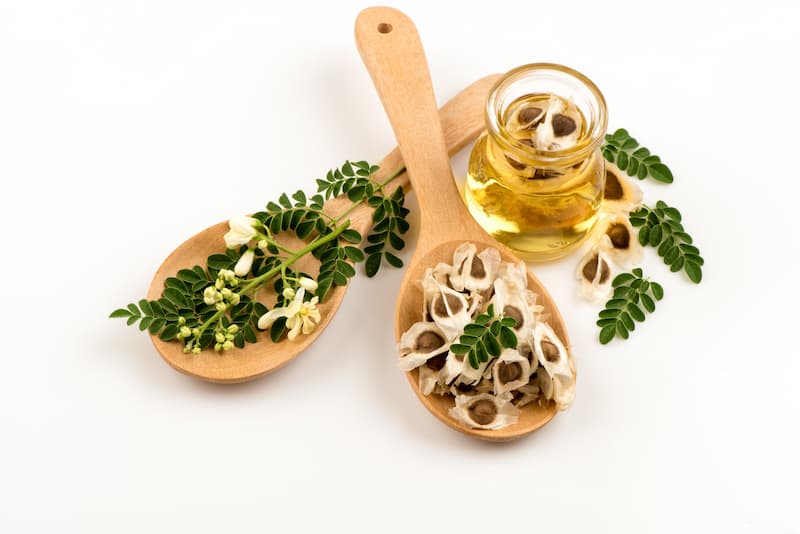 Moringa, Drumstick Tree, Horseradish Tree, Ben Oil Tree, Benzolive Tree, Radish Tree,