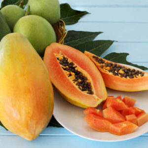 Papaya, Pawpaw, Papaw, Tree Melon, Melon Tree, Mamao, Fruta Bomba, Lechosa, Carica papaya