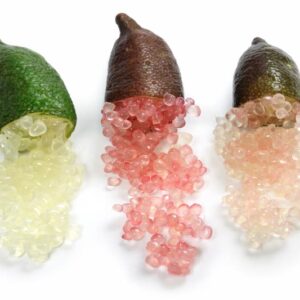 Finger lime, Australian Finger Lime, Caviar Lime, Lime, Citrus australasica