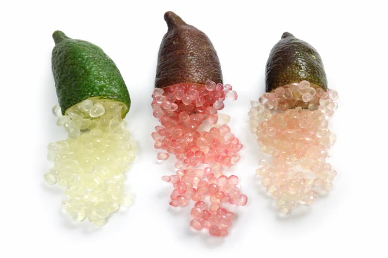 Finger lime, Australian Finger Lime, Caviar Lime, Lime, Citrus australasica