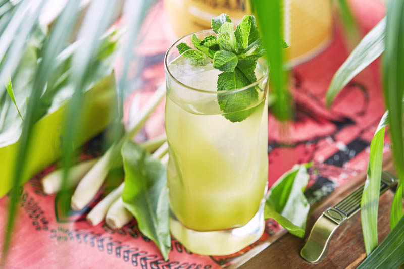 Lemongrass, Mint, Ginger, Common Ginger, Garden Ginger, Root Ginger, Zingiber, Jamaican Ginger, Indian Ginger, Chinese Ginger, Zingiber officinale