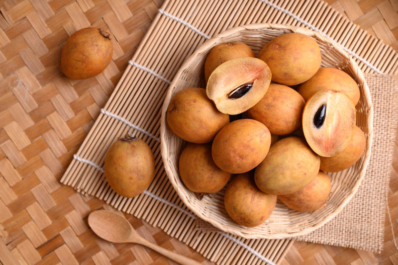 Sapodilla, Sapota, Chikoo, Naseberry, Sapota Plum, Sapodilla Plum, Manilkara zapota