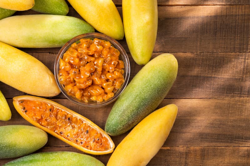 Banana Passionfruit, Banana Passion Flower, Banana Passion Vine, Banana Passionfruit, Banana Passionfruit, Banana Passionfruit, Passiflora tarminiana