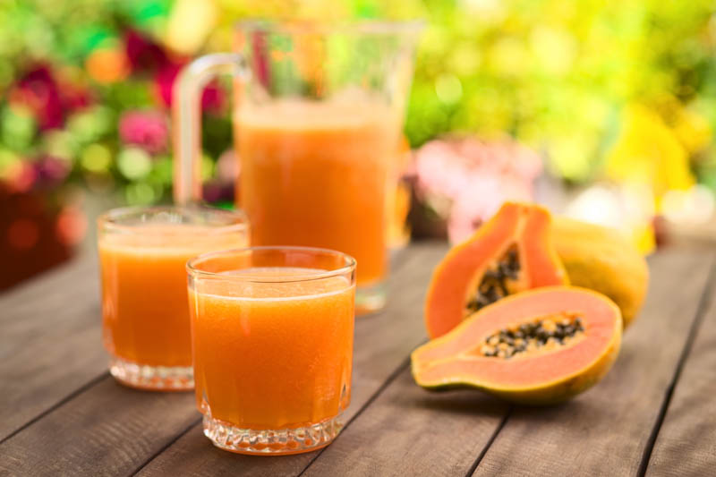 Papaya, Pawpaw, Papaw, Tree Melon, Melon Tree, Mamao, Fruta Bomba, Lechosa, Carica papaya