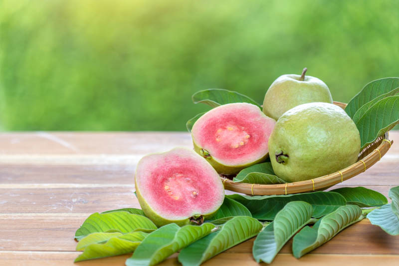 Guava, Common guava, Apple guava, Lemon guava, Yellow guava, Tropical guava, Pear guava, Psidium guajava