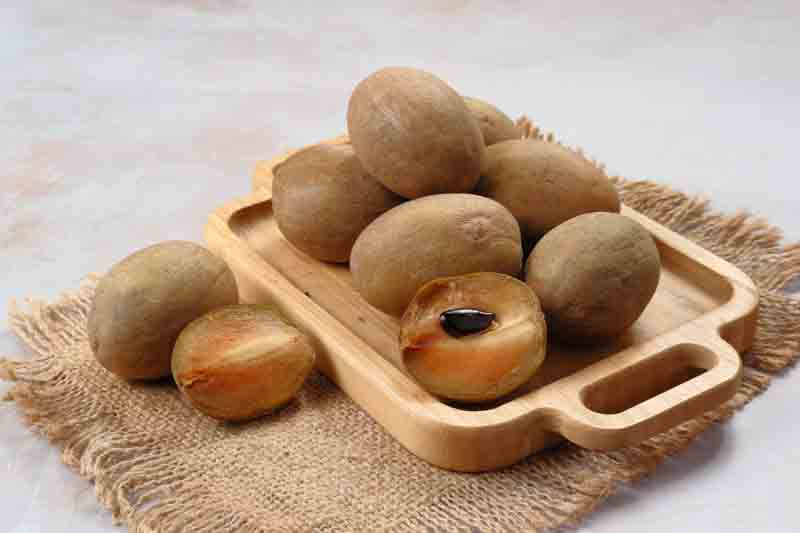 Sapodilla, Sapota, Chikoo, Naseberry, Sapota Plum, Sapodilla Plum, Manilkara zapota