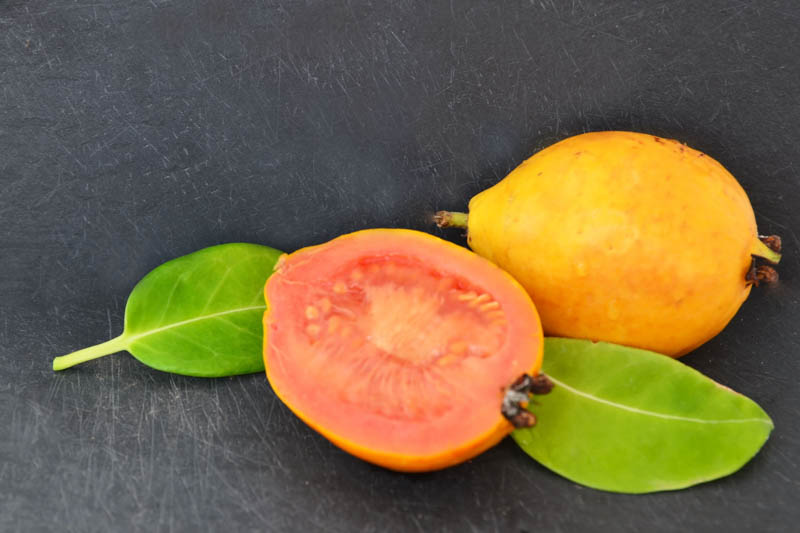 Guava, Common guava, Apple guava, Lemon guava, Yellow guava, Tropical guava, Pear guava, Psidium guajava