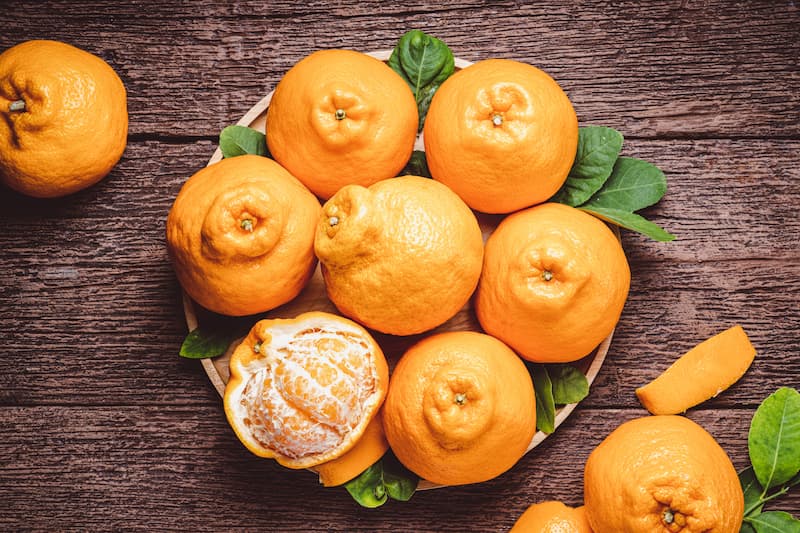 sumo oranges, mandarin, mandarin orange, citrus reticulata, Shiranui, Dekopon