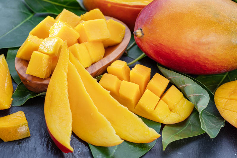 Mango, Mango Fruit, Mango Tree, Tropical Fruit, mangifera indica