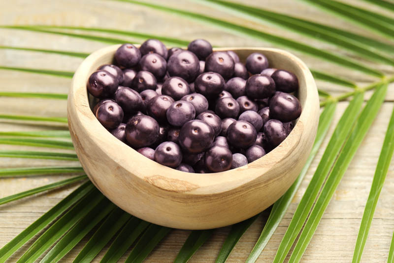Acai, Acai Berries, Acai Fruit, Açaí palm, Acai, Assai, Cabbage palm, Palmito, Euterpe oleracea