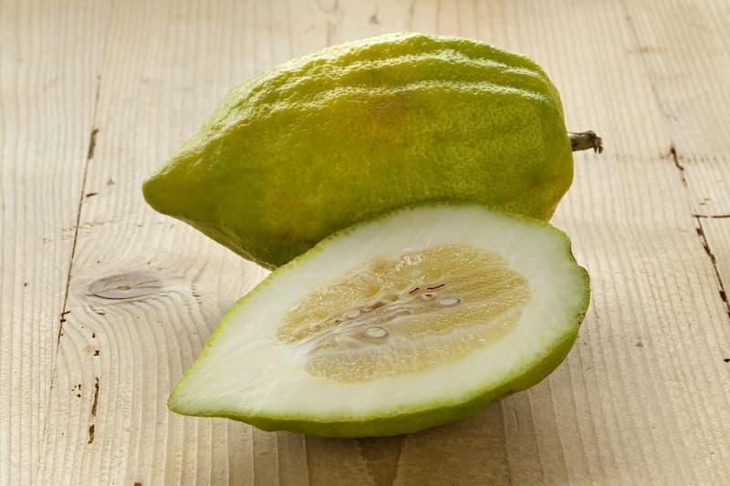 Citron, Citron, Citron Fruit, Etrog, Buddha's Hand, Fingered Citron, Cedrat, Cedro, Cidran, Citrus medica
