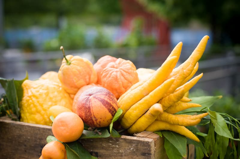 Buddha's Hand, Buddha Hand, Lemon, Citrus, Citrus Fruit, Citrus medica var. sarcodactylis