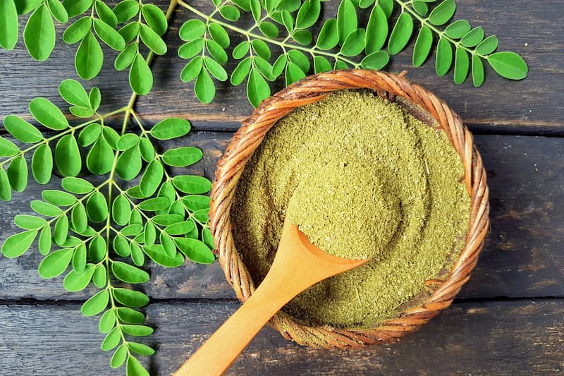Moringa, Drumstick Tree, Horseradish Tree, Ben Oil Tree, Benzolive Tree, Radish Tree,