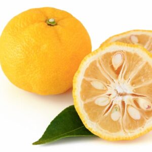 Yuzu, Yuzu Fruit, Yuzu Juice, Yuzu Sauce, Citrus, Citrus Fruit, Citrus x junos