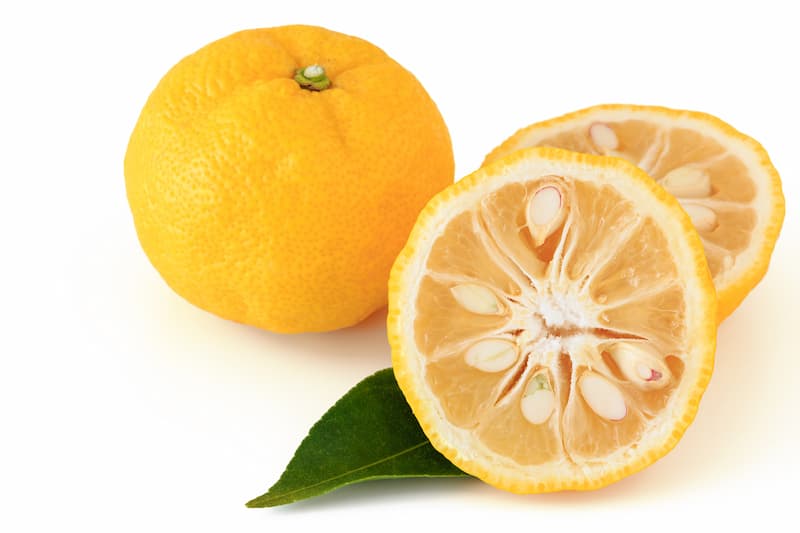 Yuzu, Yuzu Fruit, Yuzu Juice, Yuzu Sauce, Citrus, Citrus Fruit, Citrus x junos
