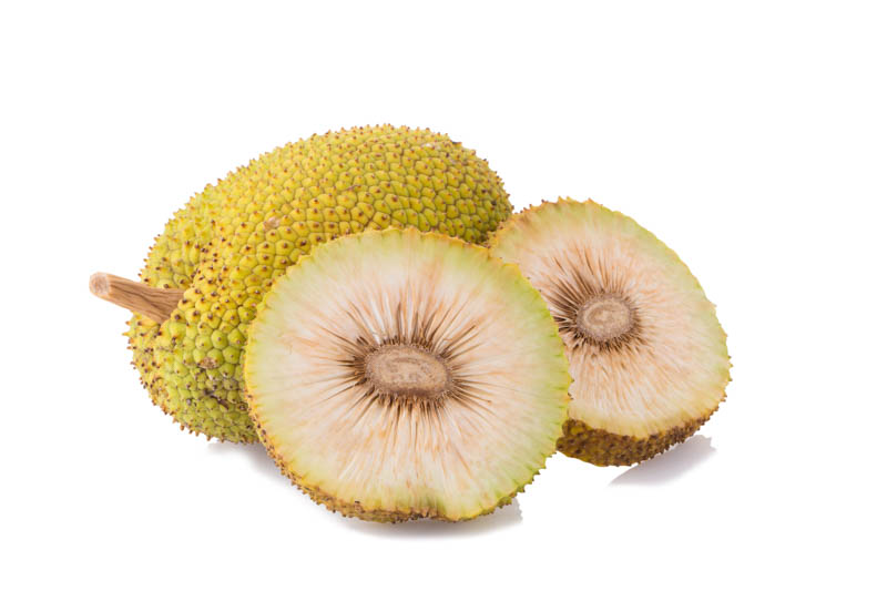 Breadfruit, Ulu, Rimas, Kulu, Sukun, Fruta-pão, Panapen, Pan de fruta, Pana, Uru, Mei, Kapiak, Uto, Kulu, Artocarpus altilis