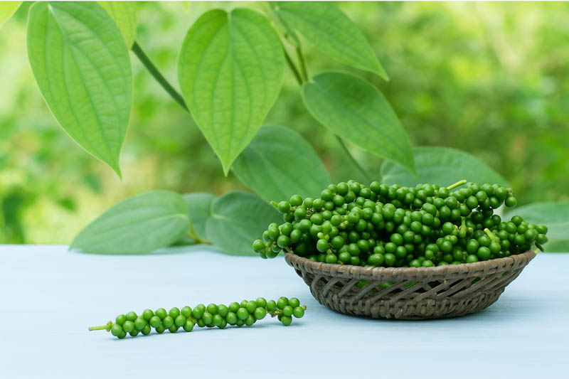 Black Pepper, White Pepper, Green Pepper, Red Pepper