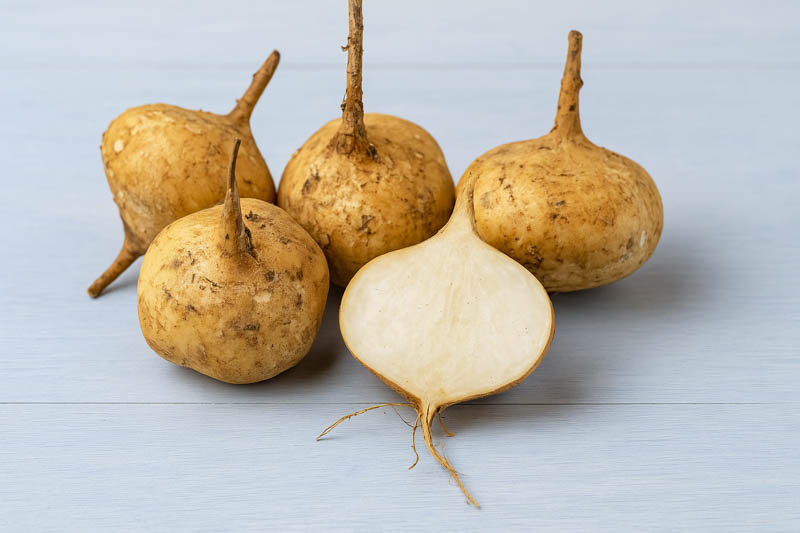 Jicama, Yam bean, Mexican turnip, Mexican potato, Chinese turnip, Saa got, Bang kuang, Sengkuang, Chop suey bean, Singkamas, Mexican yam, Jicama de agua, Jicama de leche, Pachyrhizus erosus