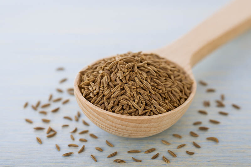 Cumin, Common Cumin, Jeera, Indian Cumin, Cuminum Cyminum
