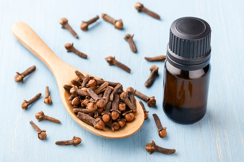 Cloves, Clove, Syzygium aromaticum, Spice, Spices
