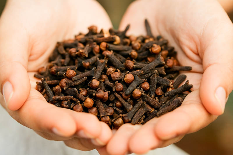 Cloves, Clove, Syzygium aromaticum, Spice, Spices