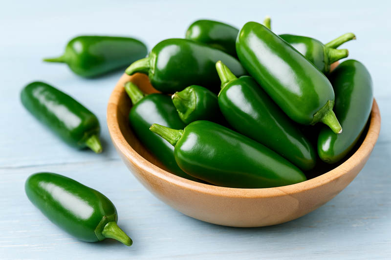 Jalapeno, Jalapeño, Jalapeño Pepper, Jalapeño Chili, Chile Jalapeño, Capsicum annuum var. annuum