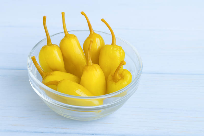Pepperoncini, Pepperocini, Pepperchini, Golden Greek Pepper, Tuscan Pepper, Friarielli, Capsicum annuum