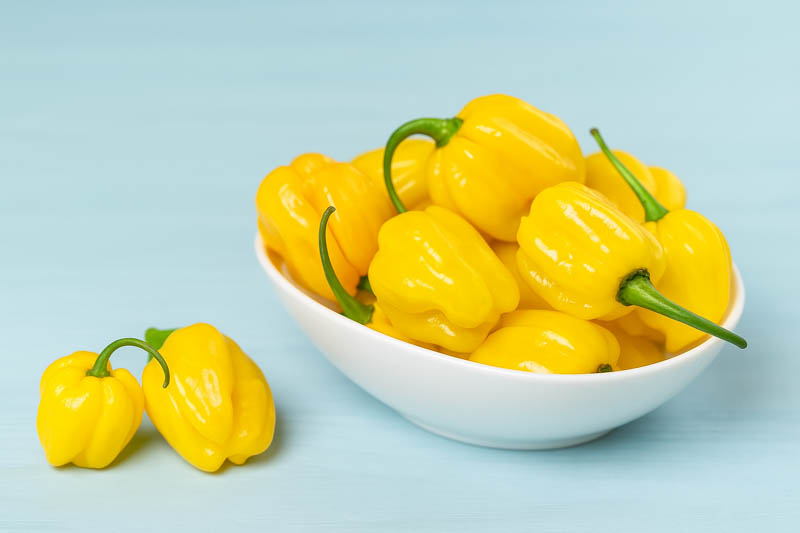 Habanero, Habanero Pepper, Habanero Chili, Capsicum Chinense