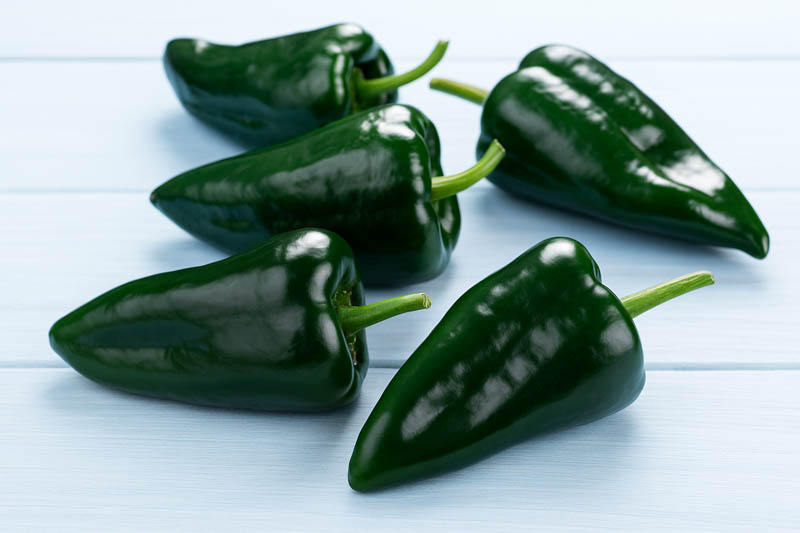Poblano, Poblano Pepper, Ancho Pepper (when dried), Ancho (when dried), Chile Poblano, Capsicum annuum Poblano