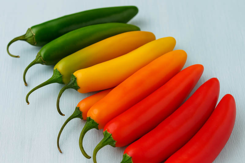 Serrano, Serrano Pepper, Chile Serrano, Capsicum annuum Serrano, Mexican Serrano, Hot Green Pepper