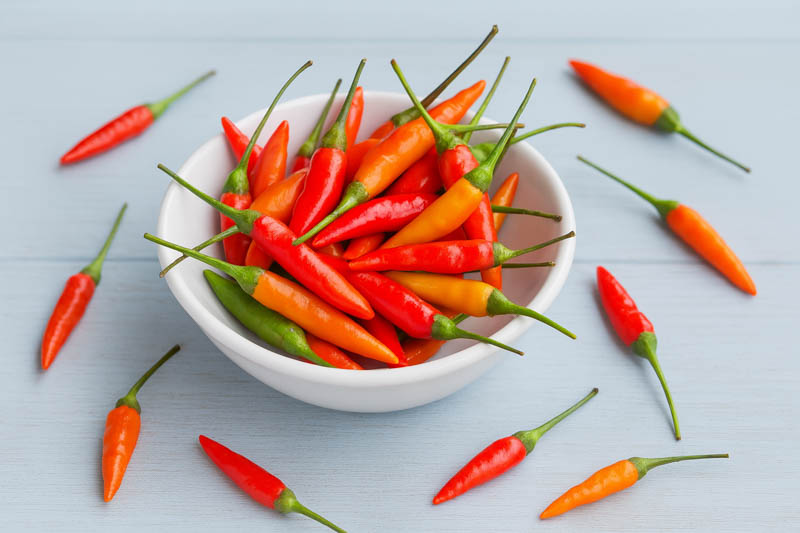 Cayenne, Cayenne Pepper, Guinea Pepper, Bird Pepper, Red Pepper, Cow-horn Pepper, Aleva Pepper, Finger Chili, Capsicum annuum