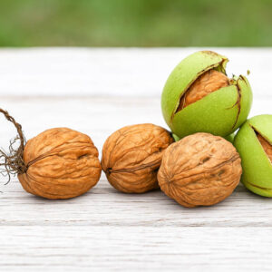 Walnut, English Walnut, Persian Walnut, European Walnut, French Walnut, Juglans regia