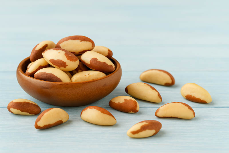 Brazil Nuts, Brazil Nut, Brazil Nut Tree, Castanha-do-Pará, Para Nut, Amazon Nut, Bertholletia excelsa
