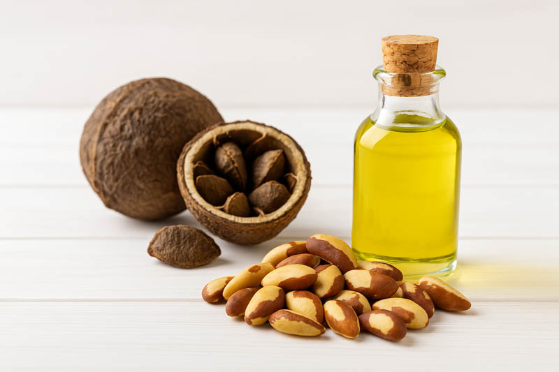 Brazil Nuts, Brazil Nut, Brazil Nut Tree, Castanha-do-Pará, Para Nut, Amazon Nut, Bertholletia excelsa
