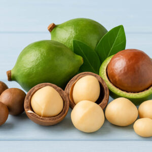 Macadamia, Macadamia nut, Queensland nut, Smooth-shelled macadamia, Bauple nut, Bush nut, Maroochi nut, Macadamia integrifolia