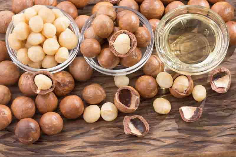 Macadamia, Macadamia nut, Queensland nut, Smooth-shelled macadamia, Bauple nut, Bush nut, Maroochi nut, Macadamia integrifolia
