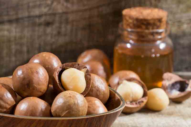 Macadamia, Macadamia nut, Queensland nut, Smooth-shelled macadamia, Bauple nut, Bush nut, Maroochi nut, Macadamia integrifolia