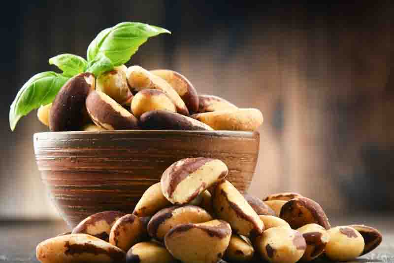 Brazil Nuts, Brazil Nut, Brazil Nut Tree, Castanha-do-Pará, Para Nut, Amazon Nut, Bertholletia excelsa