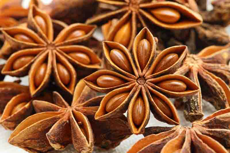 Star Anise, Chinese Star Anise, Anise Star, Badian, Badiane, Illicium, Star Aniseed, Illicium verum